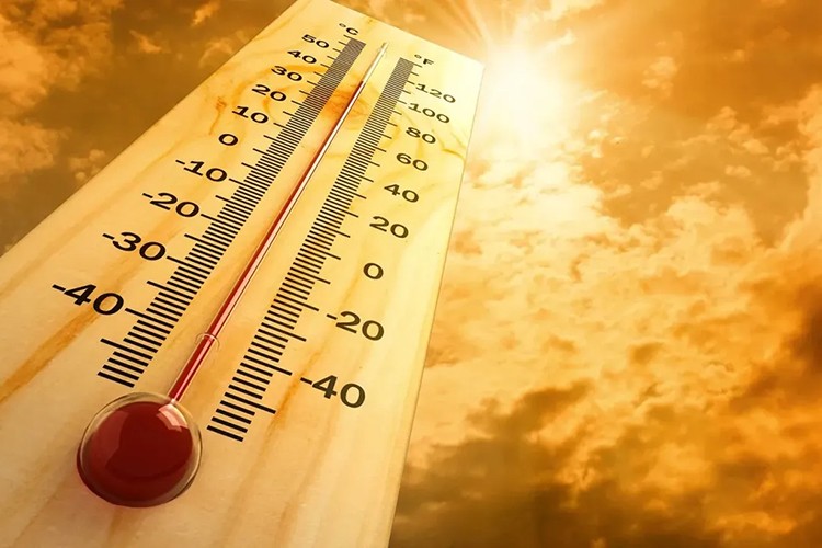 Sıcaklığa bağlı ölüm sayısı 16 bin 500 arttı