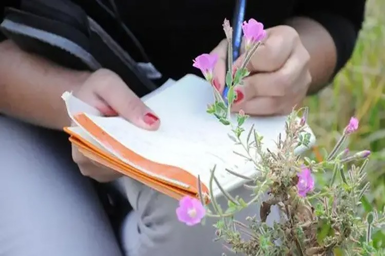 Bitki çeşitlerinin kayıt altına alınmasına ilişkin esaslar belirlendi