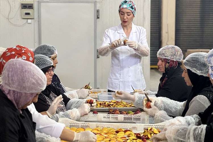 Kuruttuğu meyve ve sebzelerle ihracata açıldı