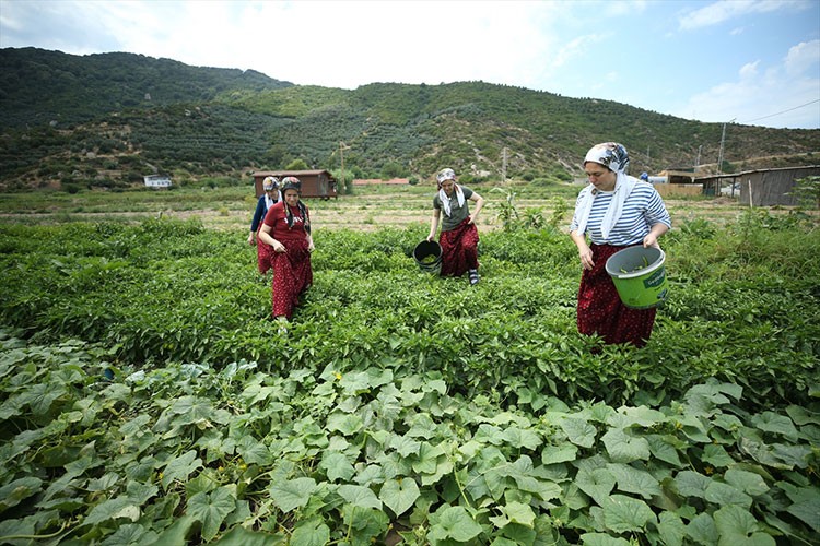 Kadınların kurduğu kooperatif turizme katkı sağlıyor