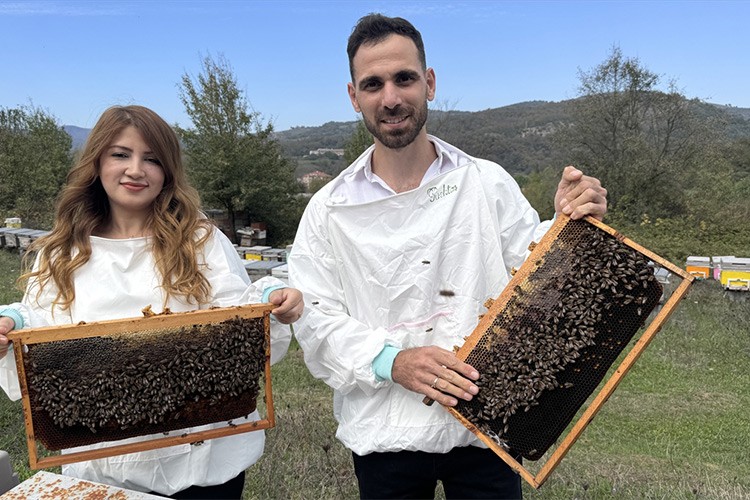 Kestane balını dünyaya tanıtmayı hedefliyor