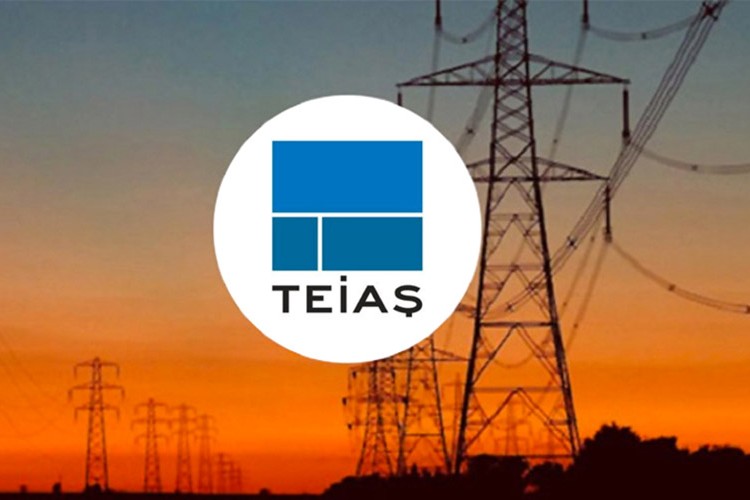 TEİAŞ, bazı taşınmazları kamulaştıracak