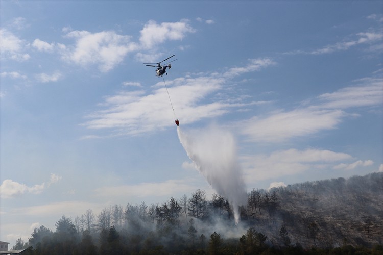 Kocaeli'de ağaçlık ve makilik alanda çıkan yangına müdahale ediliyor