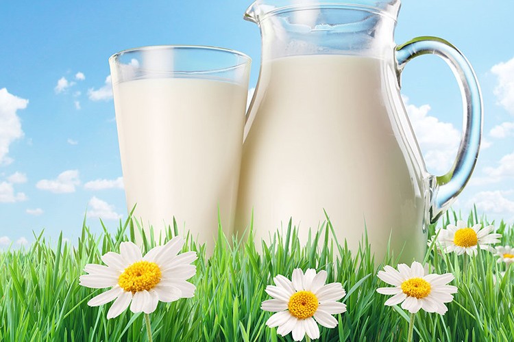 Süt fiyatları artıyor mu?..