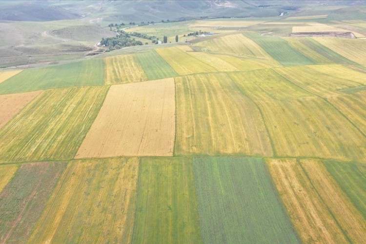 Kars'ta atıl durumdaki 48 bin 500 dekarlık alan üretime kazandırıldı