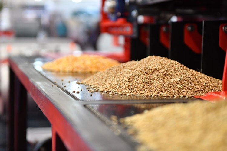 hububat ve bakliyat ihracatı yüzde 4,5 arttı