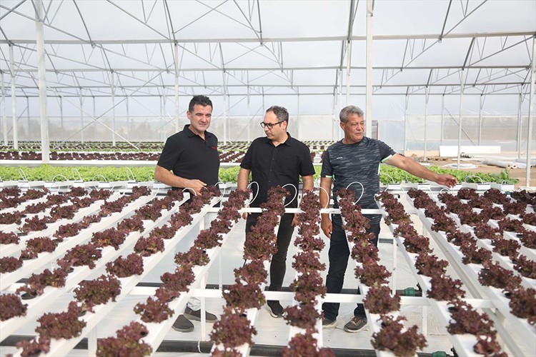 Bafra Sera OSB'de ilk fideler toprakla buluşturuldu