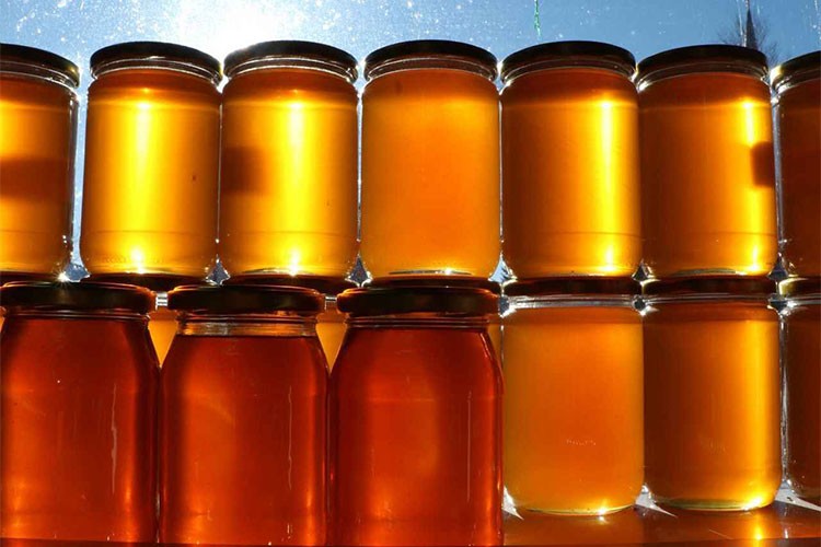 Doğu Karadeniz'den 12 ülkeye 436 ton bal ihracatı