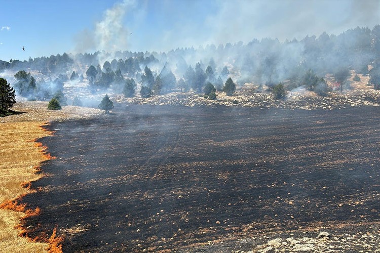 Adana'da anız yangını kontrol altına alındı