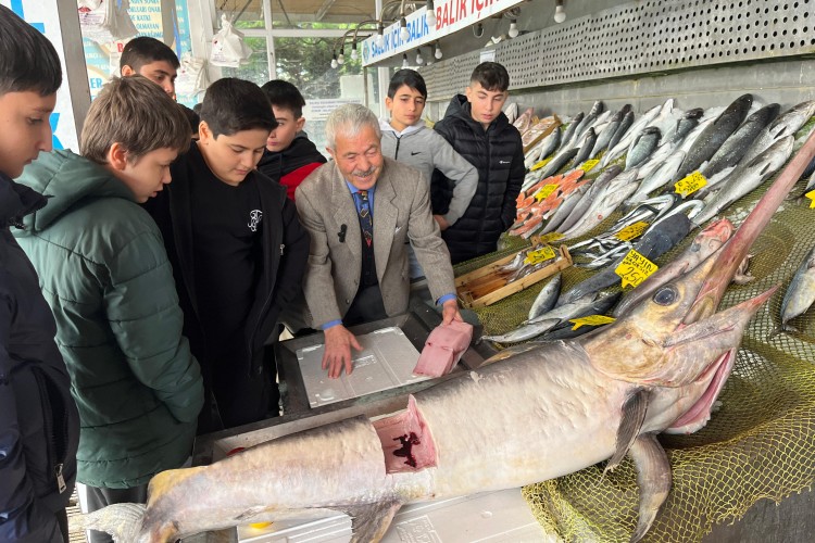 Çocuklar yarıyıl tatilini Türkiye Deniz Canlıları Müzesi'nde geçirdi