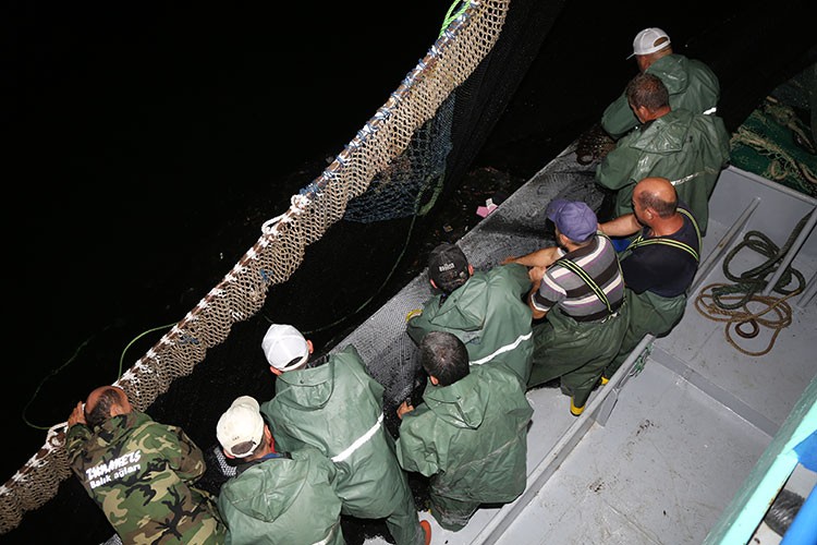 "Vira bismillah" dediler