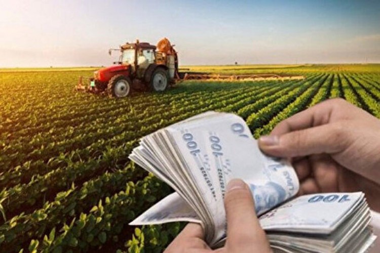 Çiftçilere 5,6 milyar liralık desteğin ödemesi başlıyor