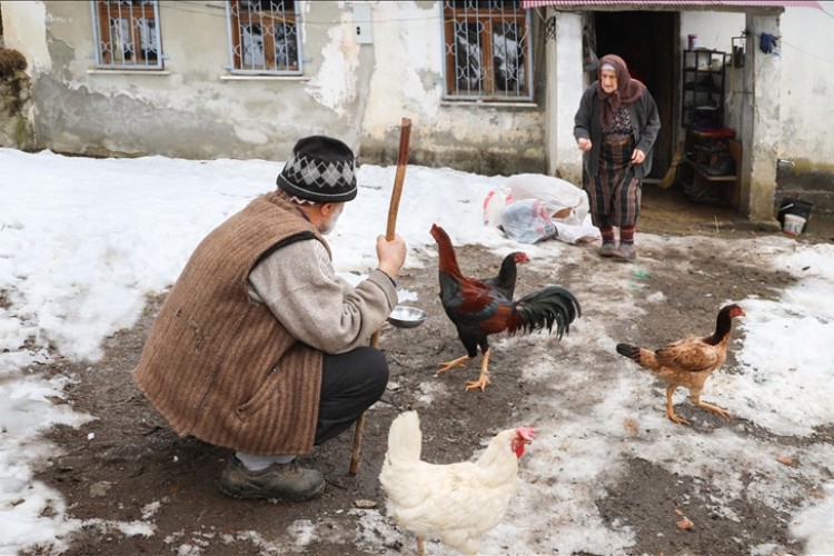 Baki çifti 66 yılını hayvancılığa verdi