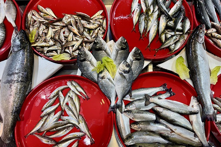 Trabzonlu balıkçıların tezgahlarını mezgit ve istavrit süslüyor