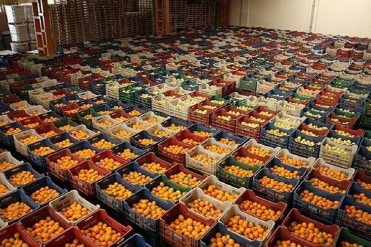 "Gıda ihracatımızı 2028'de 50 milyar dolara çıkaracağız"