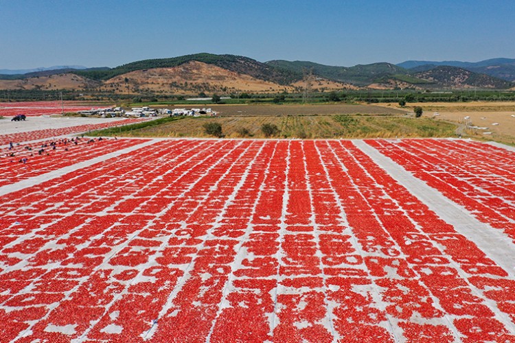 Aşırı sıcaklar "kırmızı mesai"yi erken bitirdi