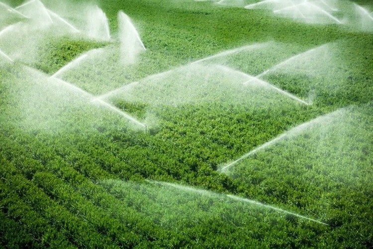 Tarımsal sulama yatırımlarına 4 milyar liralık ek bütçe