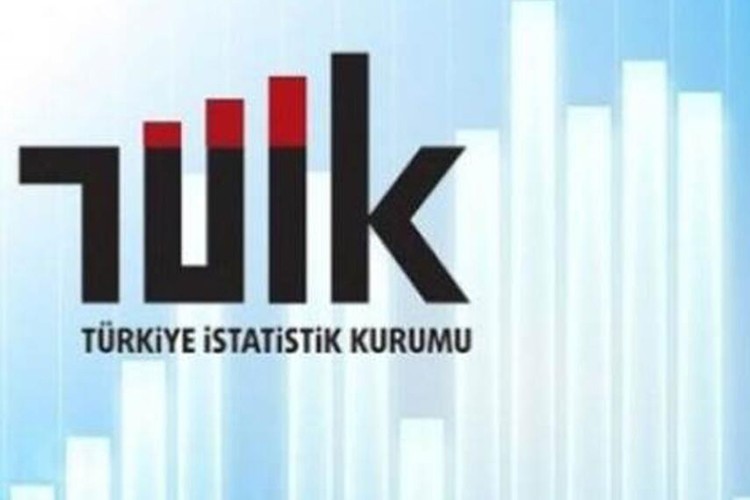 TÜİK'e yeni birim eklendi