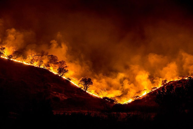 Orman yangını sezonu daha erken başlıyor