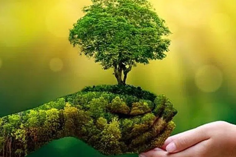 Yeşil dönüşüm OVP ile hızlandırılacak