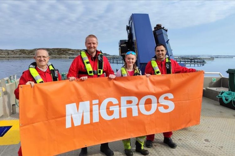 Migros, Norveç somonu alımlarını üçe katlamayı planlıyor