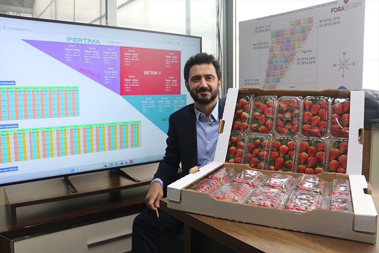 Topraksız serada üretilen çilek 7 ülkeye ihraç edildi