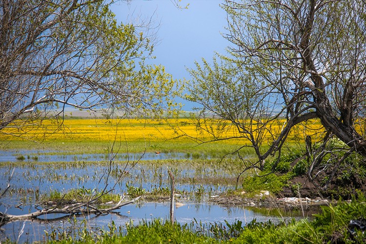Ardahan'daki Şerefin Dağı ve Üç Tepeler dağcıların rotasında