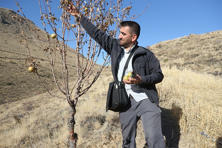 Dağ tepe gezerek doğada on binlerce ağacı yeşertti