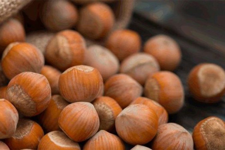 Türkiye yaklaşık 197,6 milyon dolarlık fındık ihraç etti