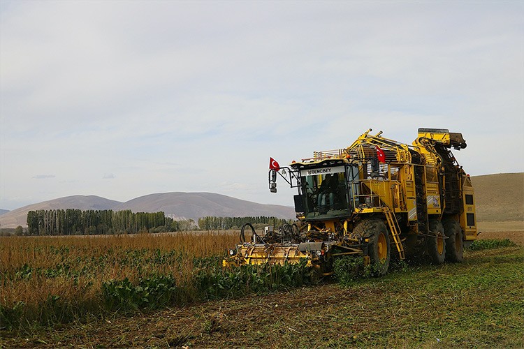 Modern sulamayla buluşan çorak arazilerinde üretim bereketi