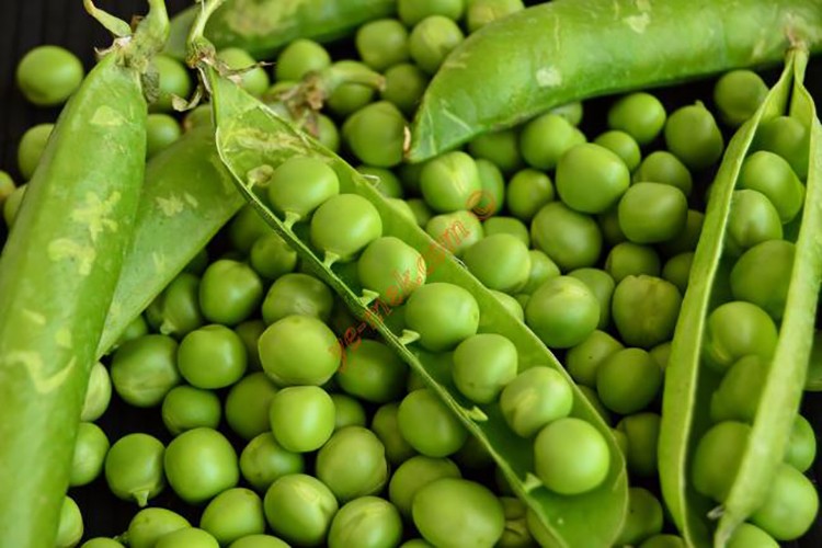 Nisan'da en çok elbisenin fiyatı arttı