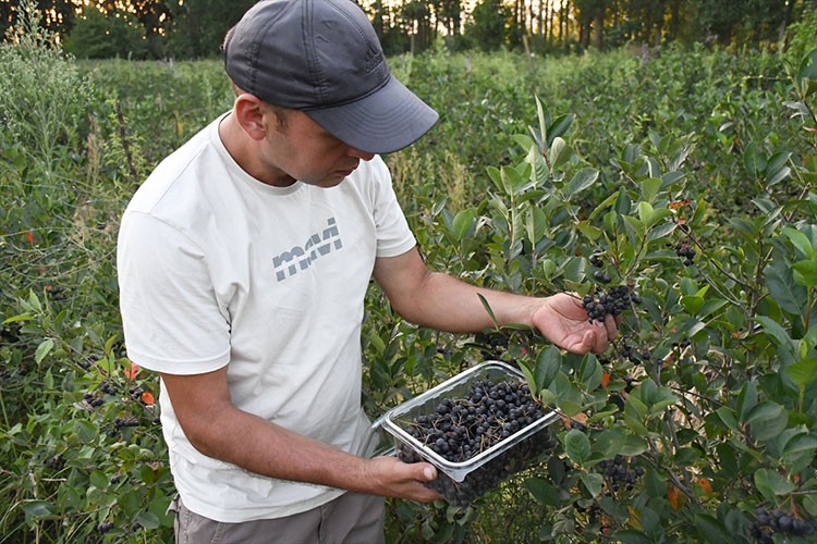 Atıl araziyi meyve bahçesine dönüştürerek üretici oldu