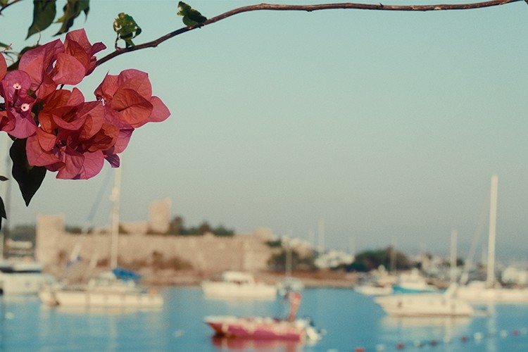 Bodrum'un Yüzü Belgeseli 29 Ekim 2023'te Seyirciyle Buluşuyor