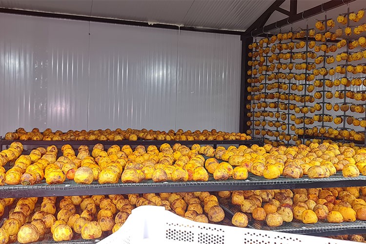 Kurutulmuş Meyve Pazarında Yüksek Teknoloji Dönemi