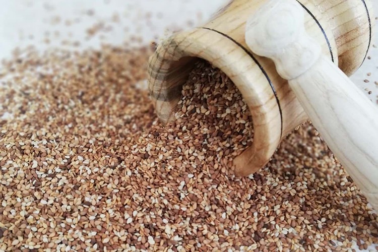 Alternatif ürün susam yetiştiriciliği projesi