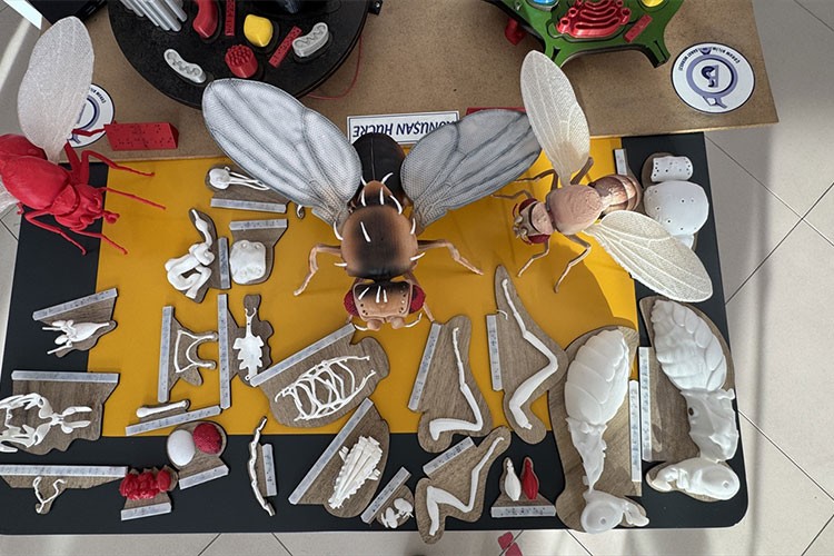 Görme engelli öğrenciler için 3 boyutlu eğitim materyali tasarladı