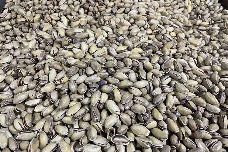 Şanlıurfa'da fıstık için lisanslı depo inşa ediliyor