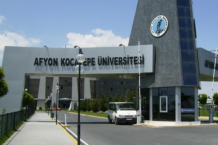 Akademisyen alınacak