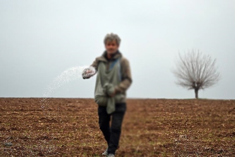 Türkiye'nin tohumda İsrail'e bağımlılığı yok