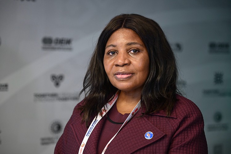 Afrika Birliği, Türk şirketleri ile işbirliği hedefliyor