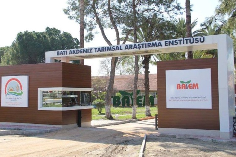 Tohumluk üretim hakkı satılacak