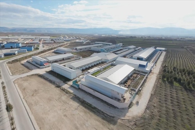 Türkiye'nin en büyük besi OSB'si hazırlanıyor