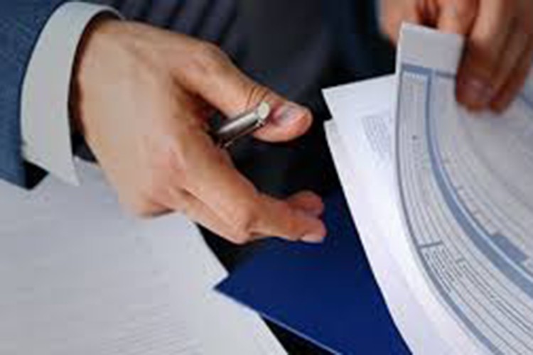 Ekonominin sessiz güvencesi sigorta