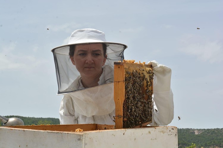 Bankacılıktan istifa edip arıcı oldu