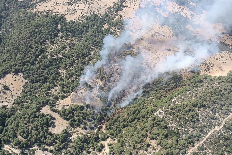 Antalya'nın Kaş ilçesinde orman yangını çıktı