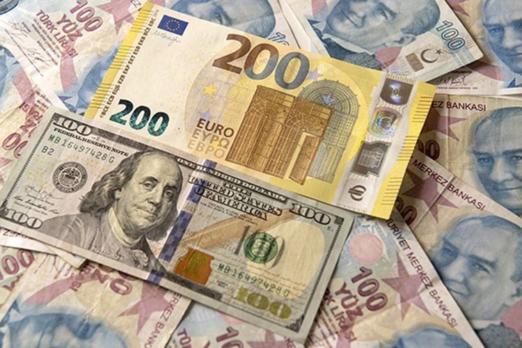 Döviz dönüşüm desteğiyle ilgili yeni düzenleme yapıldı