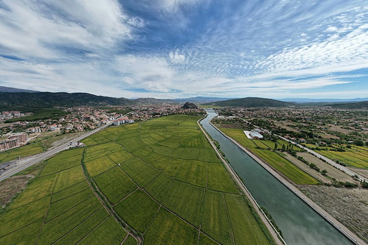 Osmancık'taki üreticiler, yeni açıklanan çeltik fiyatından umutlu