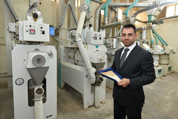 143,8 milyon dolarlık hububat ve bakliyat ihracatı yapıldı