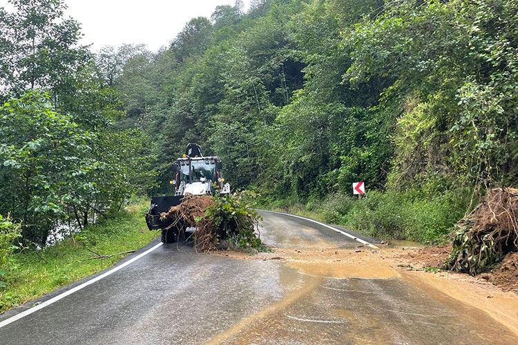 Trabzon'un bazı ilçelerinde heyelanlar meydana geldi