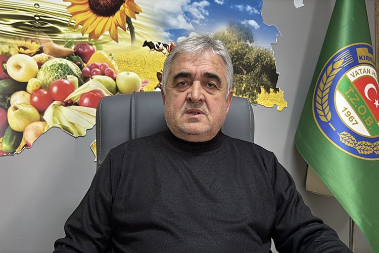 Buğday mevsiminden önce boy attı